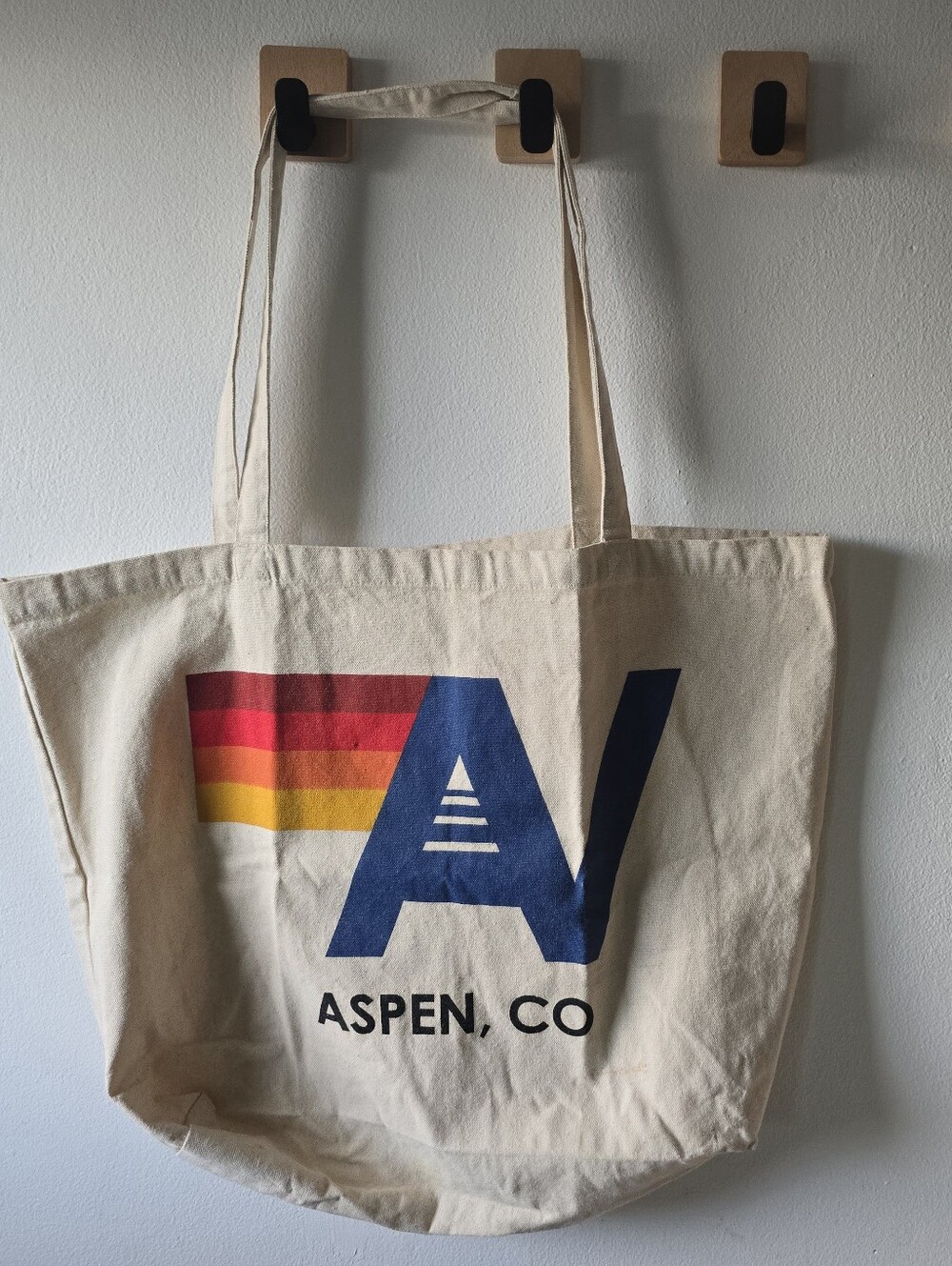 Aviator Nation Canvas Tote Bag in Natural with Navy and Multicolor Accent